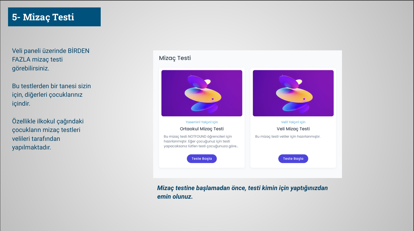 Mizaç Testini Seçme ekran görüntüsü